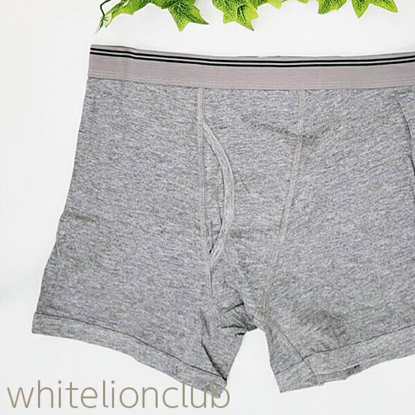 メンズ ボクサーパンツ 綿100% 抗菌 消臭 10枚セット M/L/LL