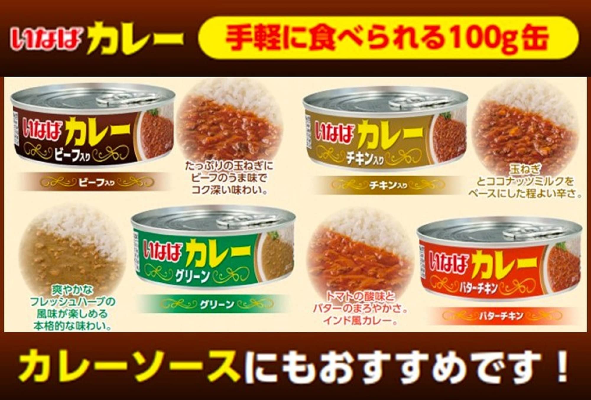 いなば食品 いなばカレー チキン入り 100g ×24個