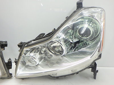 高評価特価 日産自動車 : コーティング加工済 日産 Y50 PNY : カー用品 特価新品