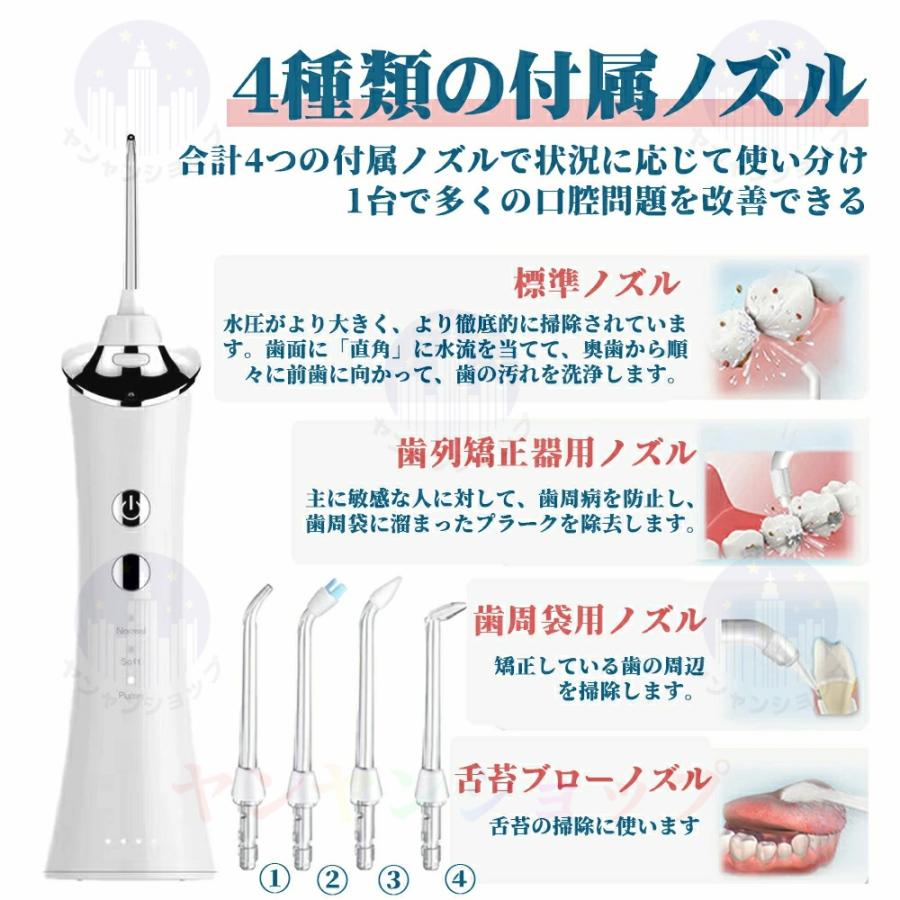 口腔洗浄器 歯垢除去 電動ジェットウォッシャー 口腔洗浄機 口腔ケア 携帯型 歯ブラシ 初心者向け 3段階モード IPX7防水 USB充電 口腔洗浄器 歯垢除去 電動ジェットウォッシャー 口腔洗浄機 口腔ケア 携帯型 歯ブラシ 初心者向け 3段階モード IPX7防水 USB充電