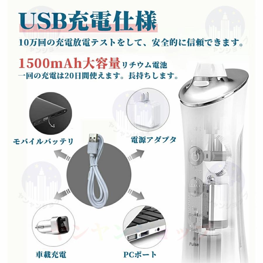口腔洗浄器 歯垢除去 電動ジェットウォッシャー 口腔洗浄機 口腔ケア 携帯型 歯ブラシ 初心者向け 3段階モード IPX7防水 USB充電 口腔洗浄器 歯垢除去 電動ジェットウォッシャー 口腔洗浄機 口腔ケア 携帯型 歯ブラシ 初心者向け 3段階モード IPX7防水 USB充電