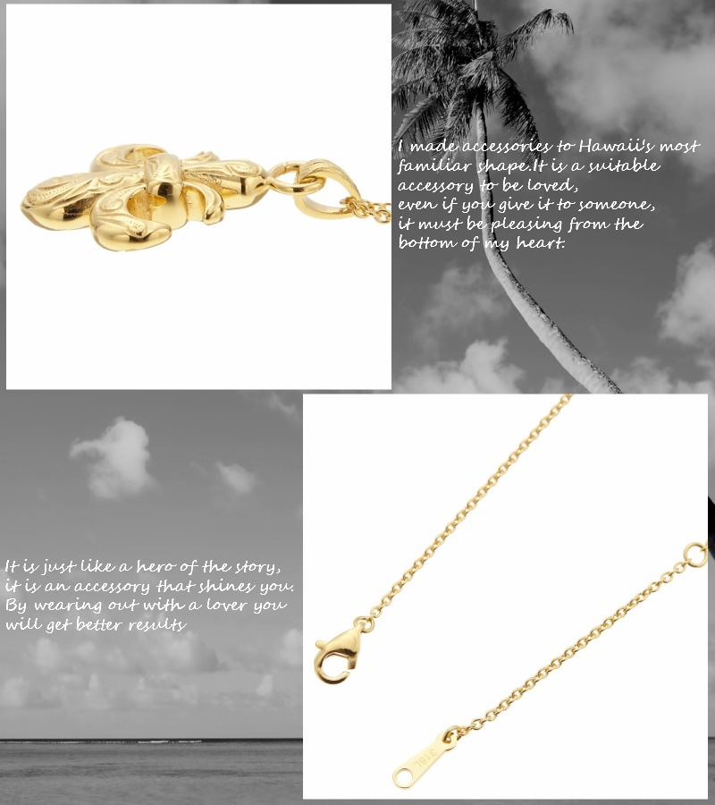 ネックレス メンズ レディース 百合の紋章 ハワイアンジュエリー サージカルステンレス 金属アレルギー対応 ペアにも シルバー ゴールド ピンクゴールド フルールドリス ネックレス メンズ レディース 百合の紋章 ハワイアンジュエリー サージカルステンレス 金属アレルギー対応 ペアにも シルバー ゴールド ピンクゴールド フルールドリス