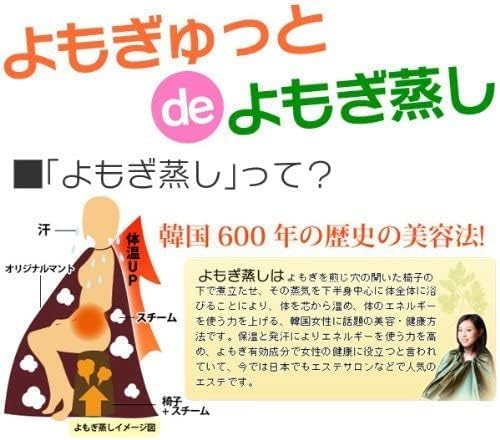 よもぎゅっと40枚入り よもぎ蒸しパッド よもぎゅっと40枚入り よもぎ蒸しパッド