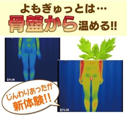 よもぎゅっと40枚入り よもぎ蒸しパッド よもぎゅっと40枚入り よもぎ蒸しパッド