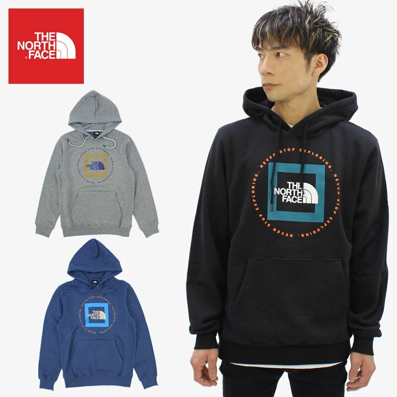 ノースフェイス Mens Geo NSE Hoodie プルオーバーパーカー/スウェット/男性用/メンズ US企画 [AA]
