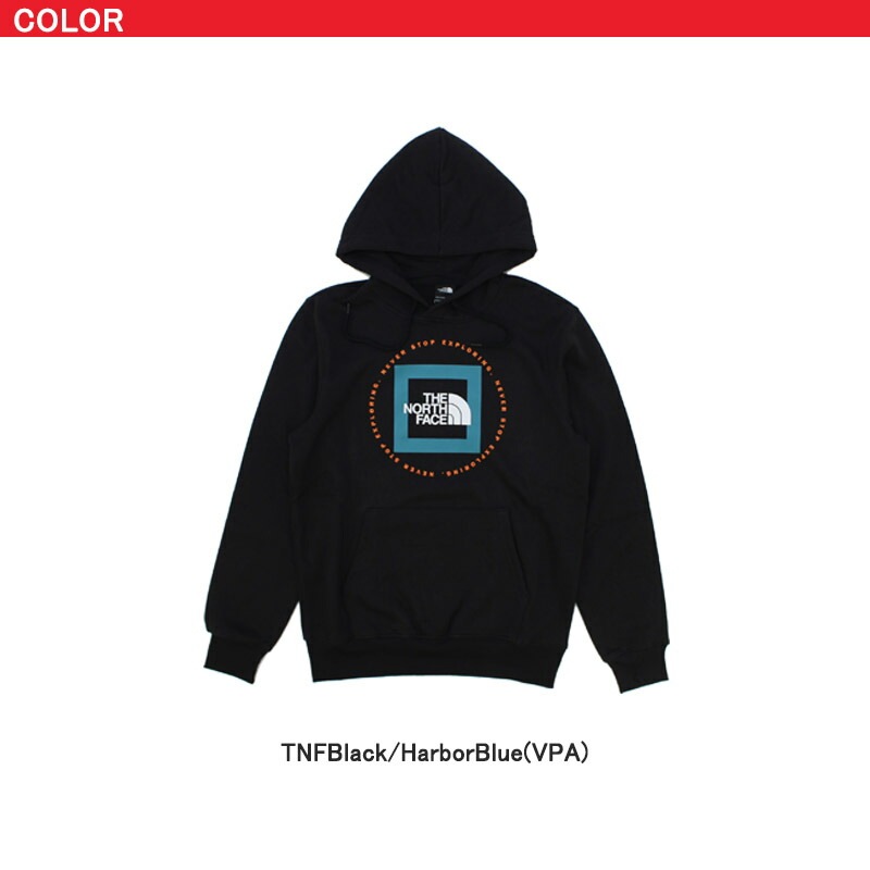 ノースフェイス Mens Geo NSE Hoodie プルオーバーパーカー/スウェット/男性用/メンズ US企画 [AA]