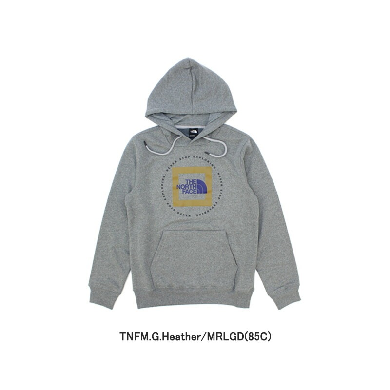 ノースフェイス Mens Geo NSE Hoodie プルオーバーパーカー/スウェット/男性用/メンズ US企画 [AA]