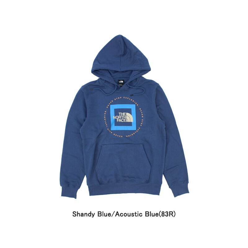 ノースフェイス Mens Geo NSE Hoodie プルオーバーパーカー/スウェット/男性用/メンズ US企画 [AA]