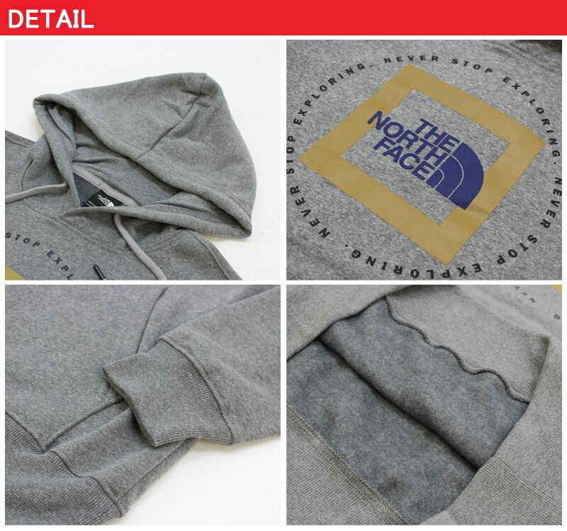 ノースフェイス Mens Geo NSE Hoodie プルオーバーパーカー/スウェット/男性用/メンズ US企画 [AA]