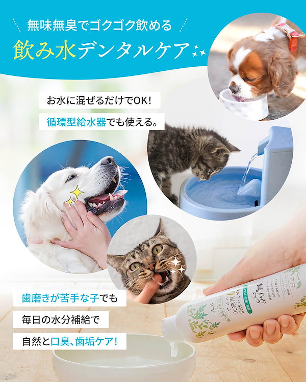 Qoo10] アニハ 犬猫用液体ハミガキ【獣医師監修
