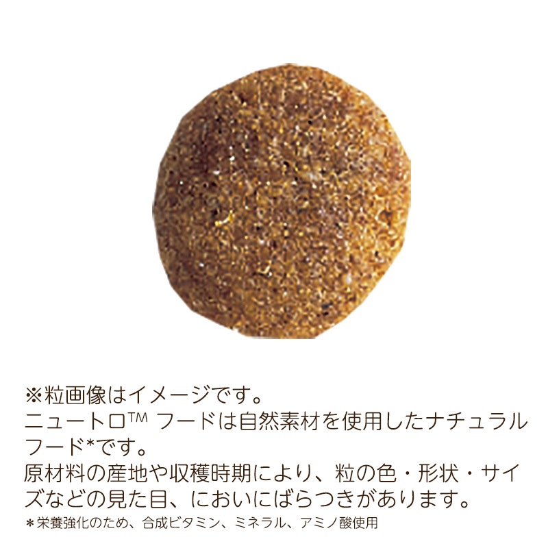 ナチュラルチョイス 全犬種 子犬用 ラム＆玄米 3kg ND364 期限26/06/30以降