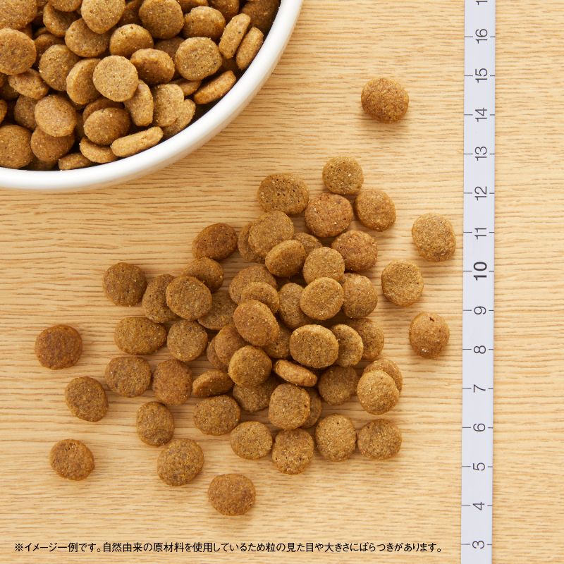 ナチュラルチョイス 全犬種 子犬用 ラム＆玄米 3kg ND364 期限26/06/30以降