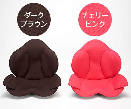 骨盤スリムスタイリーエアー 芦屋美整体 コニー 骨盤補正 骨盤矯正 骨盤矯正 腰痛 マッサー 人気 骨盤スリムスタイリーエアー 芦屋美整体 コニー 骨盤補正 骨盤矯正 骨盤矯正 腰痛 マッサー 人気