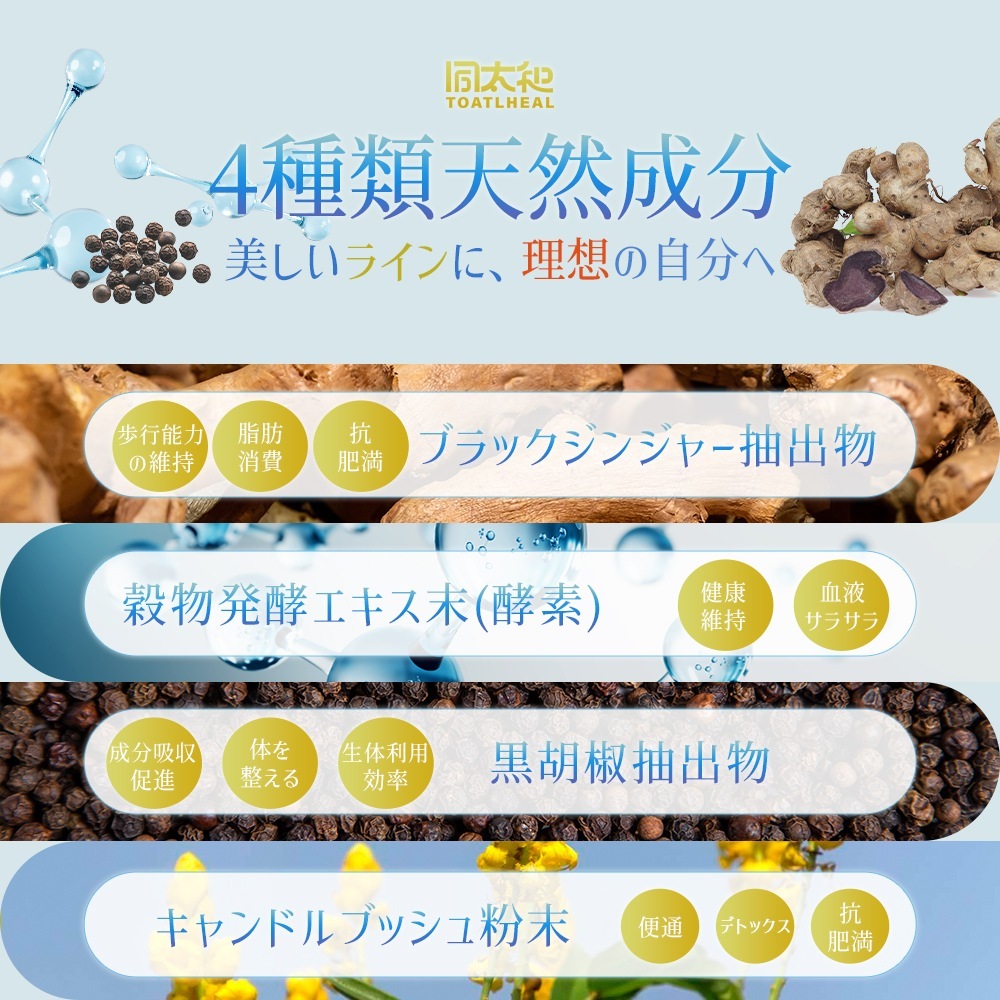 8点セット 同太和 美ラインサポート ブラックジンジャー 穀物発酵エキス サプリメント サプリ 480粒入/約240日分
