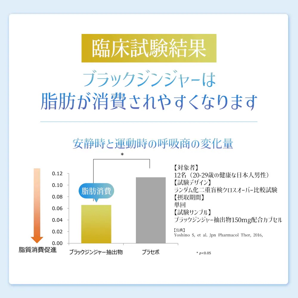 8点セット 同太和 美ラインサポート ブラックジンジャー 穀物発酵エキス サプリメント サプリ 480粒入/約240日分