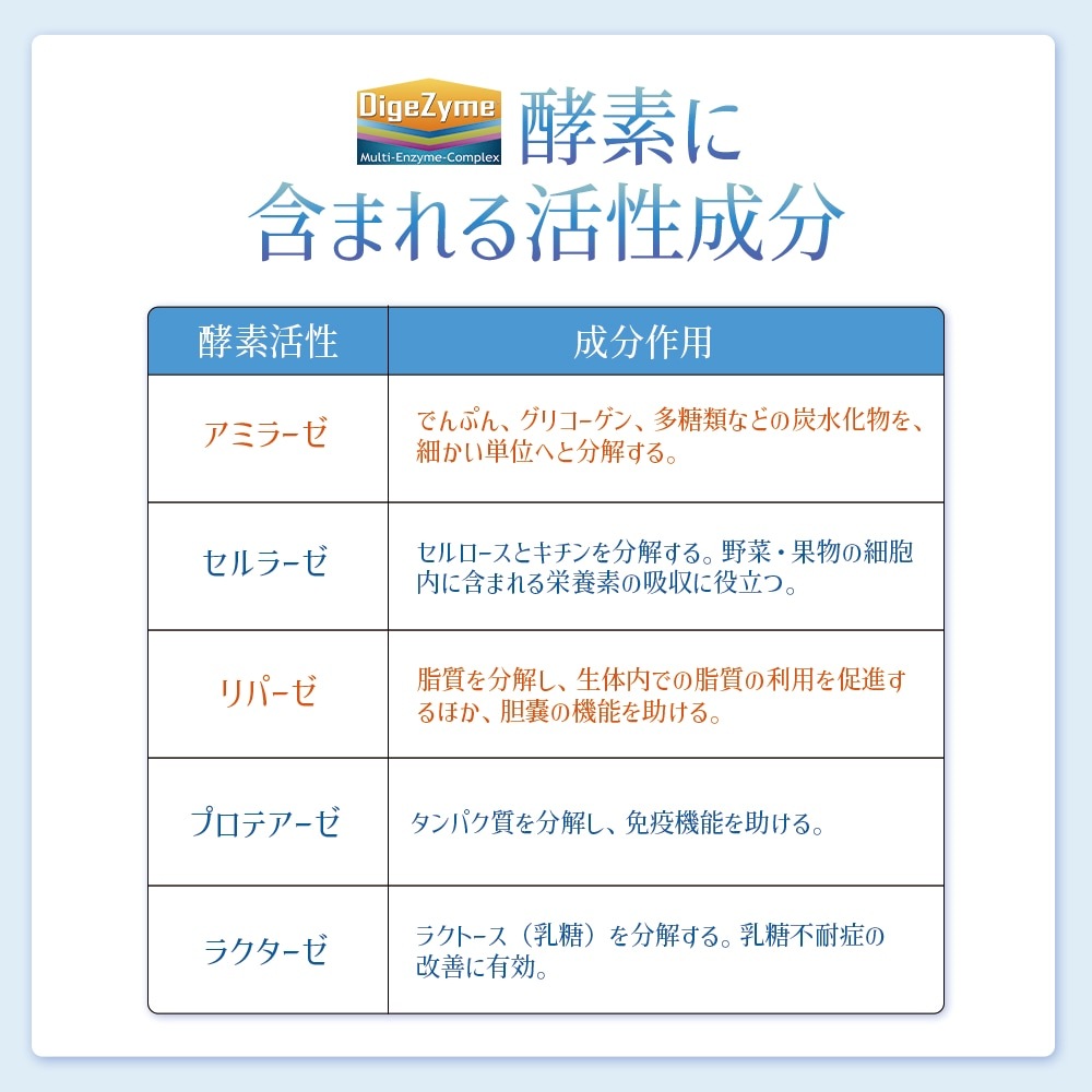 8点セット 同太和 美ラインサポート ブラックジンジャー 穀物発酵エキス サプリメント サプリ 480粒入/約240日分