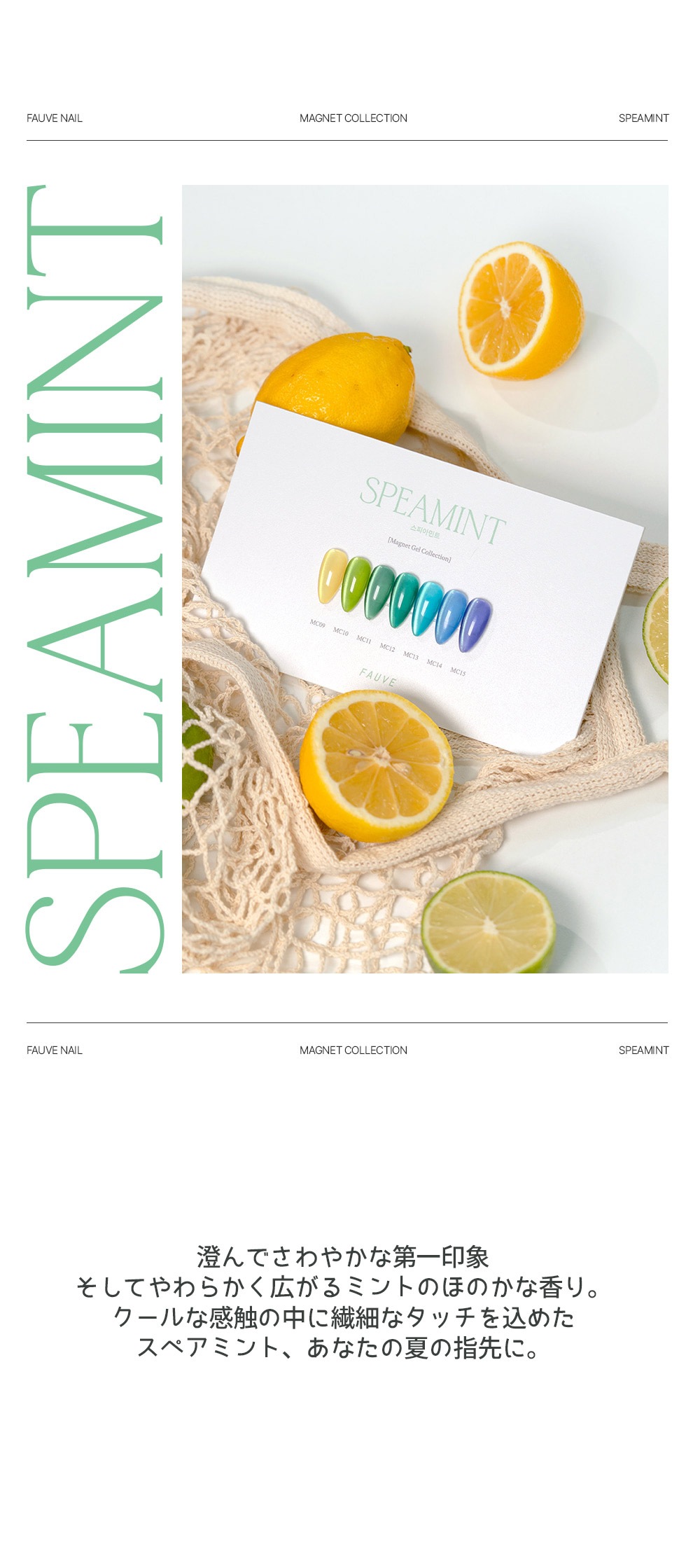 [FAUVE] 【SPEAMINT : Magnet Gel Collection】 7色 セット / スピアミント：マグネットジェルコレクション 7種
