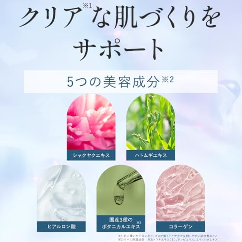 シカリ ブライトニング ウォッシュ 【詰め替え用リフィル 1個】 洗顔 パック 毛穴 汚れ ニキビ シミ 対策 が 同時に叶う 医薬部外品 の 新たな 洗顔体験
