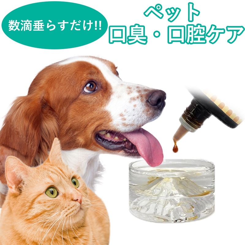 セット【ささの恵100g×2本】【犬・猫用クッキーmogshe モグシェ 30g×2個】*クッキー ペットおやつ 犬猫用 グルテンフリー ヤギミルク入 ペットフード クマザサエキス入 ペ セット【ささの恵100g×2本】【犬・猫用クッキーmogshe モグシェ 30g×2個】*クッキー ペットおやつ 犬猫用 グルテンフリー ヤギミルク入 ペットフード クマザサエキス入 ペ