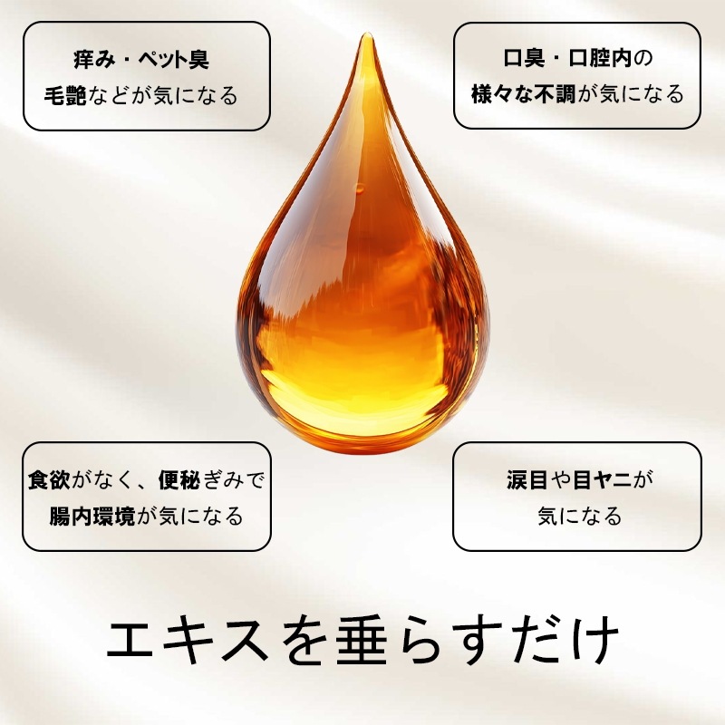 セット【ささの恵100g×2本】【犬・猫用クッキーmogshe モグシェ 30g×2個】*クッキー ペットおやつ 犬猫用 グルテンフリー ヤギミルク入 ペットフード クマザサエキス入 ペ セット【ささの恵100g×2本】【犬・猫用クッキーmogshe モグシェ 30g×2個】*クッキー ペットおやつ 犬猫用 グルテンフリー ヤギミルク入 ペットフード クマザサエキス入 ペ