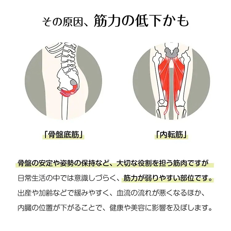 [10 アイテム]内転筋トレーニング ヒップトレーナー デジタルパネル 360度回転 强度4段階 産後エクササイズ ヒップアップ 美尻トレーニング 骨盤ケア 太もも 脚やせ 腕 背中 ダイエット器具