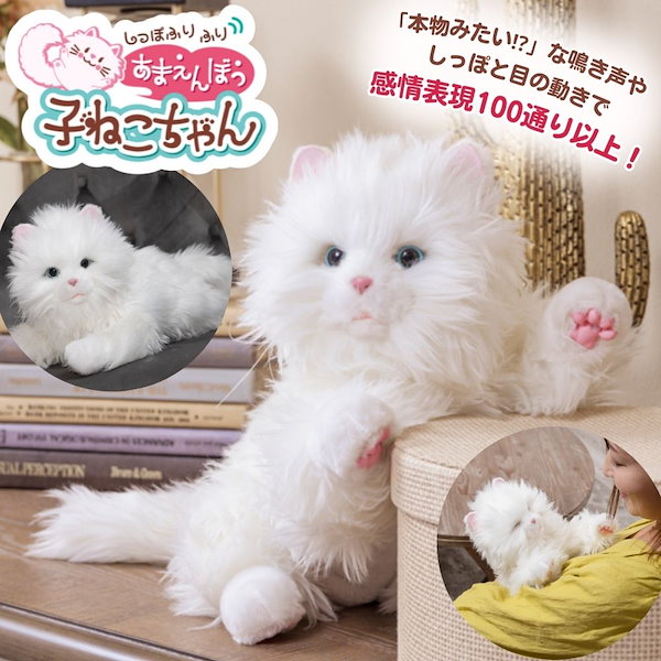 Qoo10] しっぽふりふり あまえんぼう子ねこちゃん