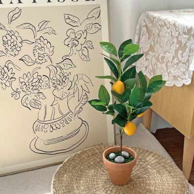 NUOLUXレモン盆栽人工観葉植物3個セット卓上玄関シミュレーション