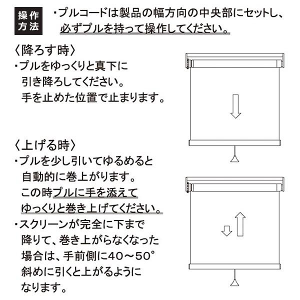 ロールスクリーン 防炎 幅60cm 高さ180cm プルコード式 ヒモ おしゃれ 既製品 サイズ 規格 生地 カーテンレール 天井付け 正面付け 内側 外側 タチカワ 日本製