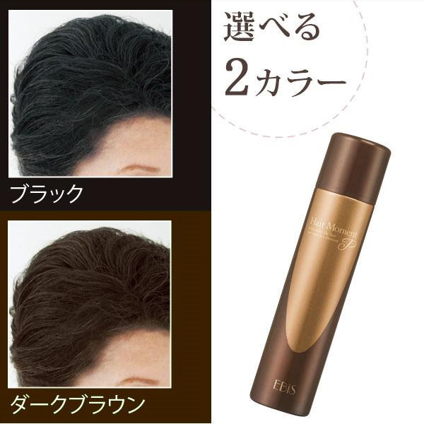 Qoo10] EBiS化粧品 増毛スプレー ヘアーモーメントP 90ｇ