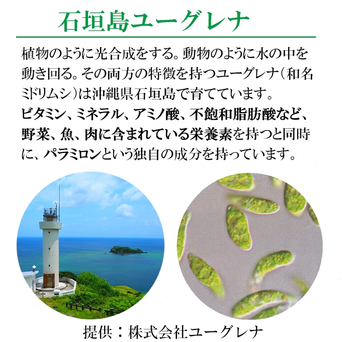 お得セットユーグレナ女神90粒+ハンド&ネック ストレッチクリーム 50g 正規品 美容クリーム お得セットユーグレナ女神90粒+ハンド&ネック ストレッチクリーム 50g 正規品 美容クリーム