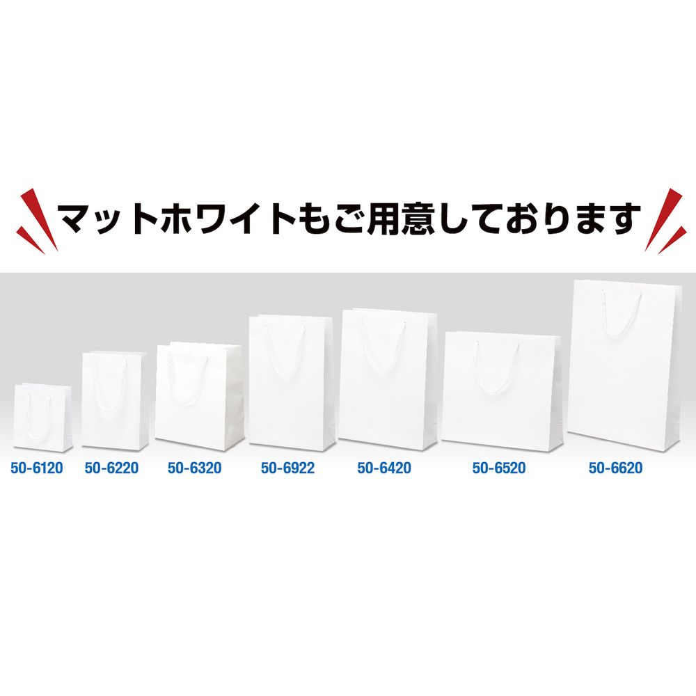 （まとめ買い）ササガワ 手提げ袋 マットブラック 幅550xマチ130x高さ400mm 1枚入 50-6921 [x10]