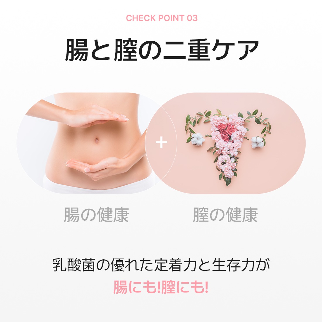 [公式]デンマークプロバイオティクスストーリーウーマン(2Box) 4ヶ月分 膣健康　サプリ　女性乳酸菌　母と娘のデリケートゾーンケア フェムケア プレミアム乳酸菌 腸健康 常温保管 カプセル乳酸菌