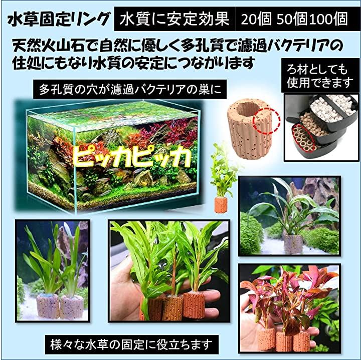 水槽用 水草固定リング 底砂 溶岩石 アクアリウム内装 濾過材料 金魚 メダカ 熱帯魚( 100個)