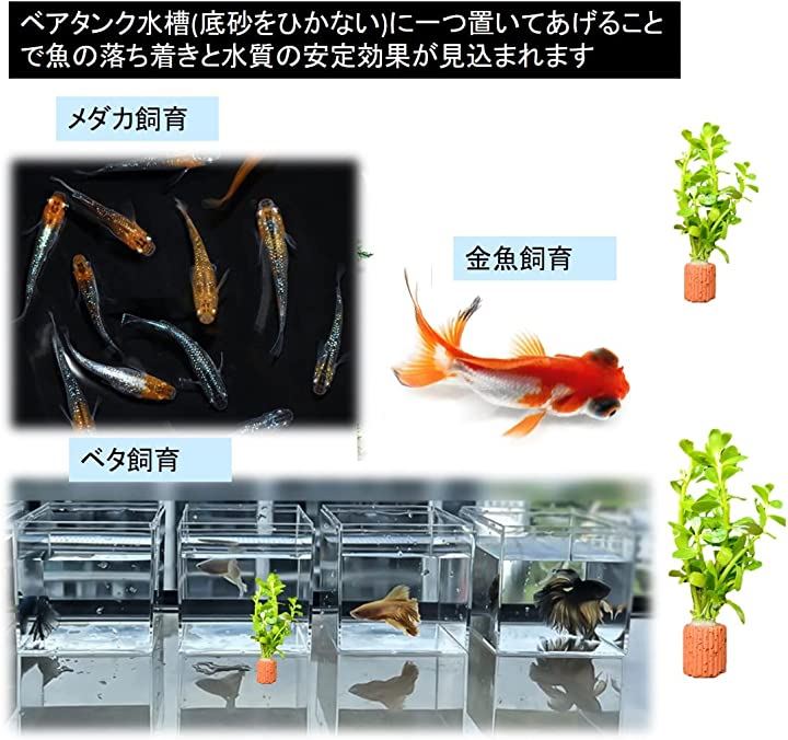 水槽用 水草固定リング 底砂 溶岩石 アクアリウム内装 濾過材料 金魚 メダカ 熱帯魚( 100個)