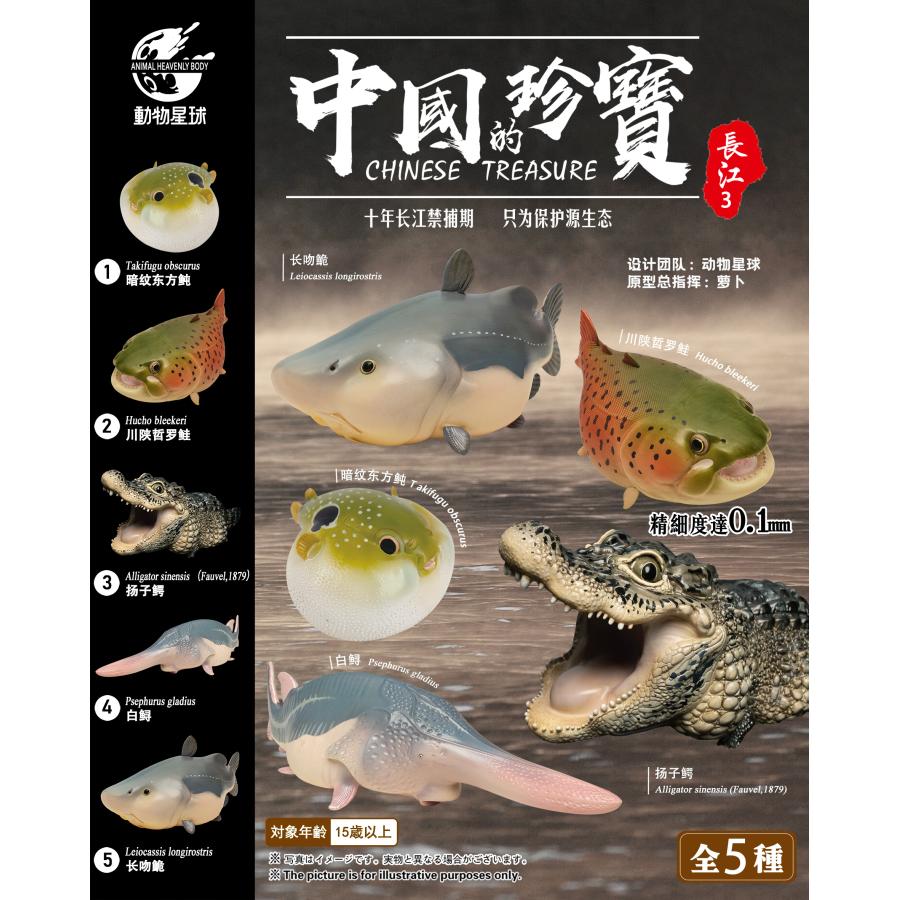 Amazon.co.jp: 動物の惑星 イェンツーユイ シークレット 中国的