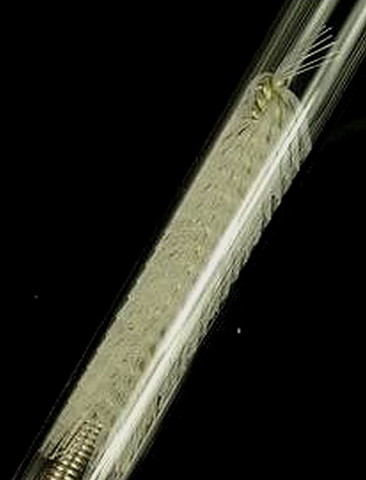 JP 水槽用 クリアガラス ジェット 吸出水 パイプ セット 12/16mm用 ホース/パイプクリーナー 高透明度 ガラス製 給水 排水(吸出水パイプセット+パイプ・ホースクリーナー) JP 水槽用 クリアガラス ジェット 吸出水 パイプ セット 12/16mm用 ホース/パイプクリーナー 高透明度 ガラス製 給水 排水(吸出水パイプセット+パイプ・ホースクリーナー)