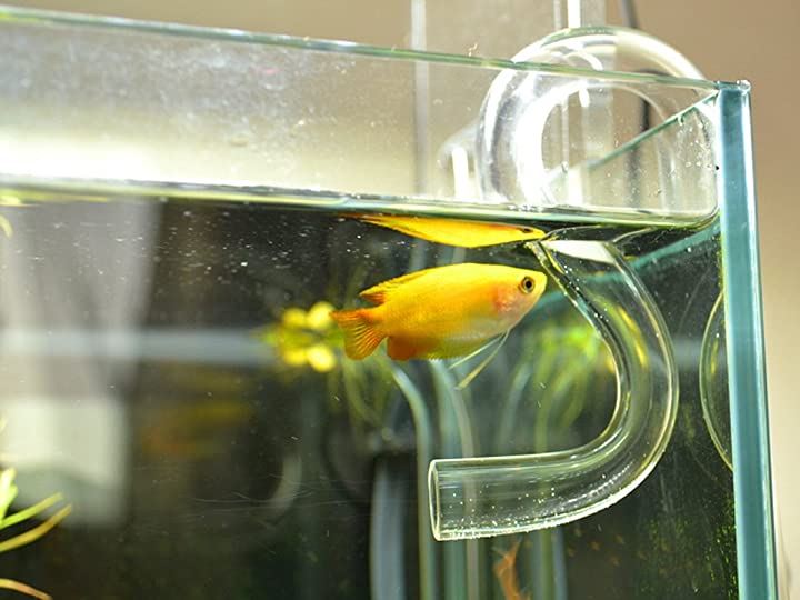 JP 水槽用 クリアガラス ジェット 吸出水 パイプ セット 12/16mm用 ホース/パイプクリーナー 高透明度 ガラス製 給水 排水(吸出水パイプセット+パイプ・ホースクリーナー) JP 水槽用 クリアガラス ジェット 吸出水 パイプ セット 12/16mm用 ホース/パイプクリーナー 高透明度 ガラス製 給水 排水(吸出水パイプセット+パイプ・ホースクリーナー)