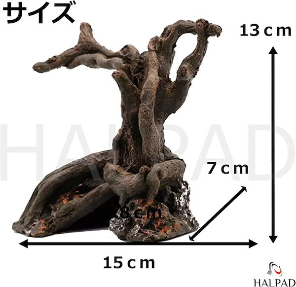 流木(爬虫類/両生類/熱帯魚/トカゲ/カエル)水槽設置に是非！ 【公式通販】