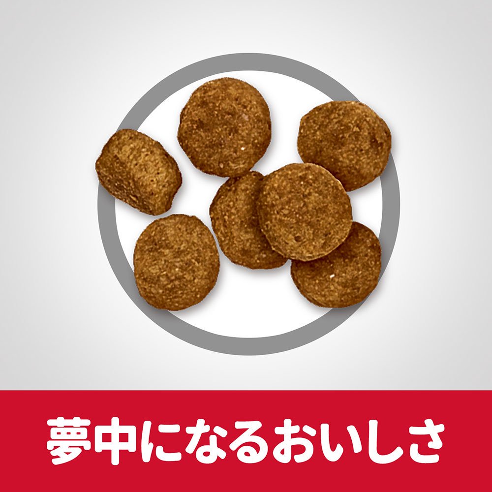 ドッグフード　サイエンスダイエット　シニア　７歳以上　小粒　高齢犬用　チキン　１２ｋｇX２　おまけ付　お一人様１点限り　ヒルズ　犬　ＣＲＣ45―05―19―10―40_5