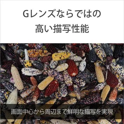 ソニー SEL2450G デジタル一眼カメラレンズ α[Eマウント]用レンズ FE 24-50mm F2.8 G_3