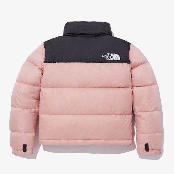 THE NORTH FACE W'S 1996 ECO NUPTSE - ジャケット・アウター