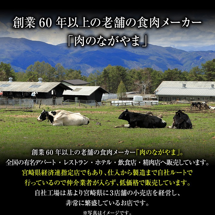 肉 牛肉 カルビ 宮崎牛 A4ランク以上 カルビスライス500g 宮崎県産 黒毛和牛