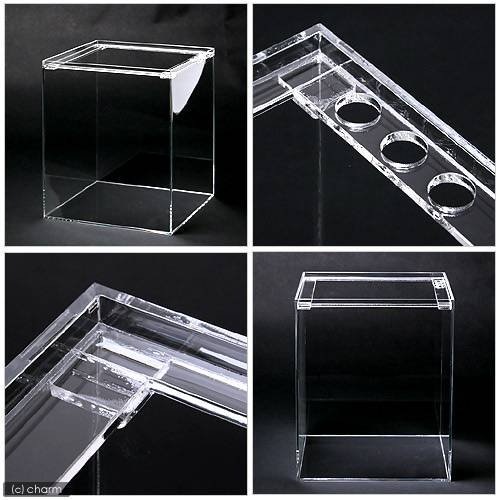 水槽 アクリル水槽 ラクシス No.14 (300X300X360mm) 30cm水槽 CRC10―11―04―20―00 水槽 アクリル水槽 ラクシス No.14 (300X300X360mm) 30cm水槽 CRC10―11―04―20―00