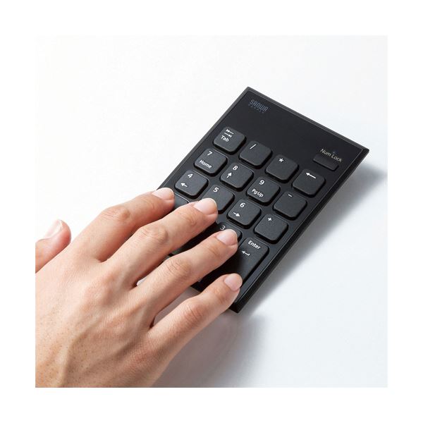 サンワサプライ 静音ワイヤレステンキーマウスセット NT-WL23SETBK 1セット