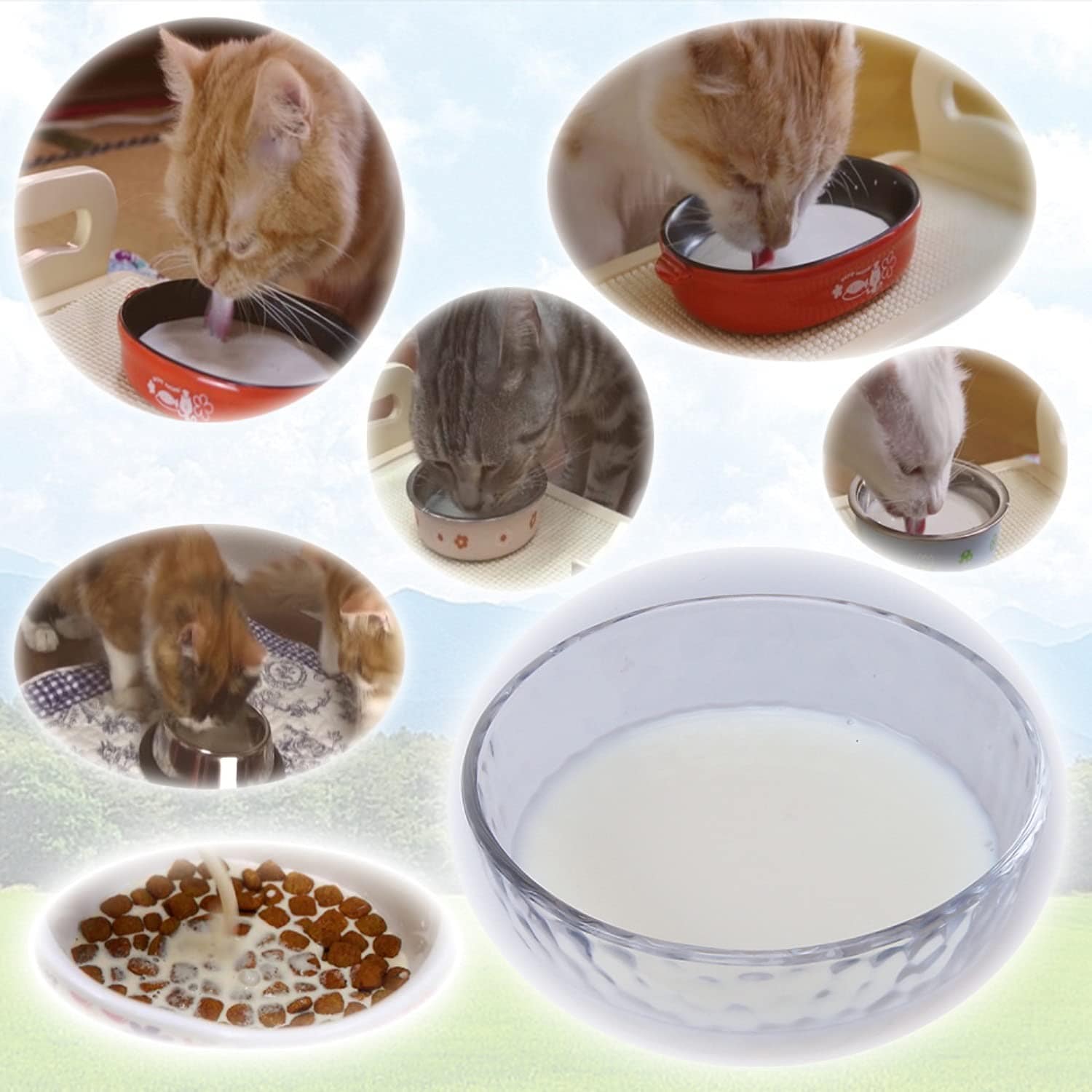 キャティーマン (CattyMan) ねこちゃんの国産牛乳 ミルク 全猫種用 200ml×24個入り 【ケース販売】