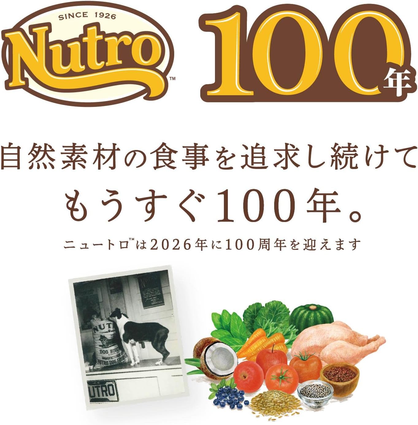 Nutro ナチュラルチョイス 超小型犬4kg以下用 成犬用 生後8ヶ月以上 チキン&玄米 4kg ドライフード 小粒 総合栄養食 ドッグフード 犬 自然素材 香料・着色料 無添加 ニュートロ