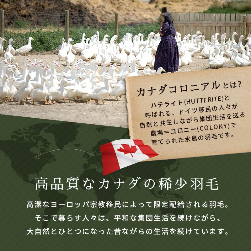 当店限定品 羽毛布団 シングルロング マザーグースダウン95% 150X210cm 3年保証 京都職人の羽毛布団 増量1.3kg 440dp以上 日本製 京都羽毛 「松」 カナダ 3SA-1280 こ 当店限定品 羽毛布団 シングルロング マザーグースダウン95% 150X210cm 3年保証 京都職人の羽毛布団 増量1.3kg 440dp以上 日本製 京都羽毛 「松」 カナダ 3SA-1280 こ