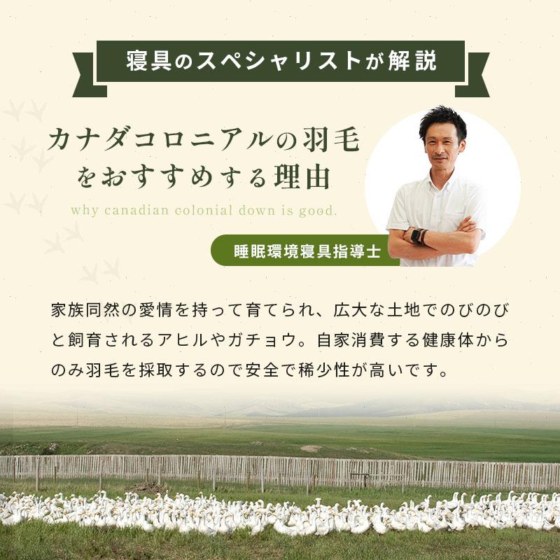 当店限定品 羽毛布団 シングルロング マザーグースダウン95% 150X210cm 3年保証 京都職人の羽毛布団 増量1.3kg 440dp以上 日本製 京都羽毛 「松」 カナダ 3SA-1280 こ 当店限定品 羽毛布団 シングルロング マザーグースダウン95% 150X210cm 3年保証 京都職人の羽毛布団 増量1.3kg 440dp以上 日本製 京都羽毛 「松」 カナダ 3SA-1280 こ