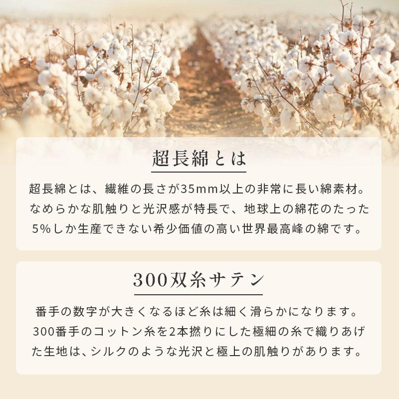 当店限定品 羽毛布団 シングルロング マザーグースダウン95% 150X210cm 3年保証 京都職人の羽毛布団 増量1.3kg 440dp以上 日本製 京都羽毛 「松」 カナダ 3SA-1280 こ 当店限定品 羽毛布団 シングルロング マザーグースダウン95% 150X210cm 3年保証 京都職人の羽毛布団 増量1.3kg 440dp以上 日本製 京都羽毛 「松」 カナダ 3SA-1280 こ