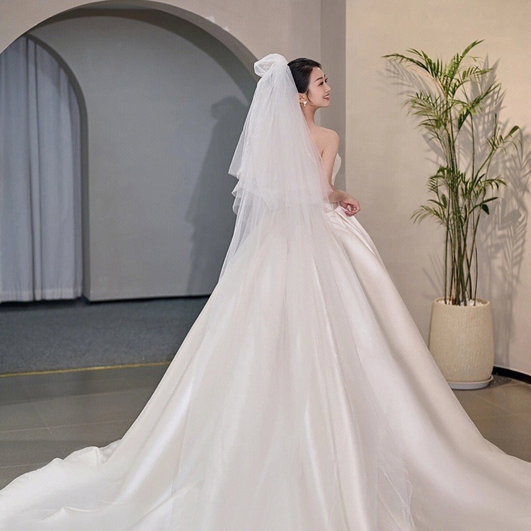 ドレス 衣装 ウエディングドレス 披露宴ドレス ロングドレス プリンセスライン 切り替えデザイン 胸元 チューブトップ 光沢 ロング丈 バックシャン ステージドレス かわいい 大人可愛い きれいめ